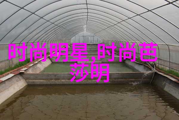 主题我亲眼见证的女恐怖分子背后的故事和惊人的真相