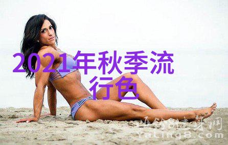 汽车与多肉植物的对决谁能占据主导地位