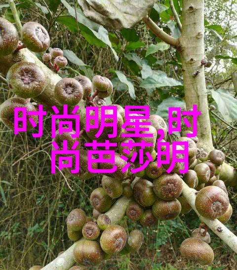 美发技艺视频-精彩纷呈揭秘高级美发技艺的创作艺术