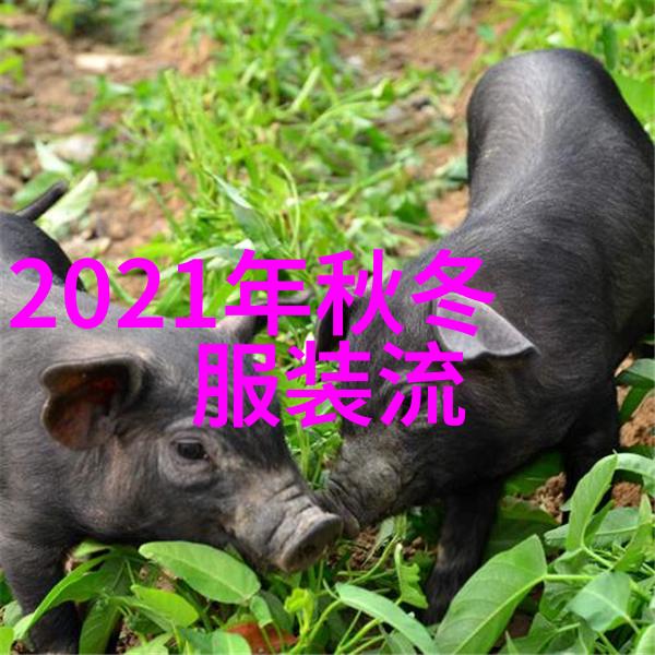 深夜的放纵污草莓香蕉榴莲丝瓜的秘密花园