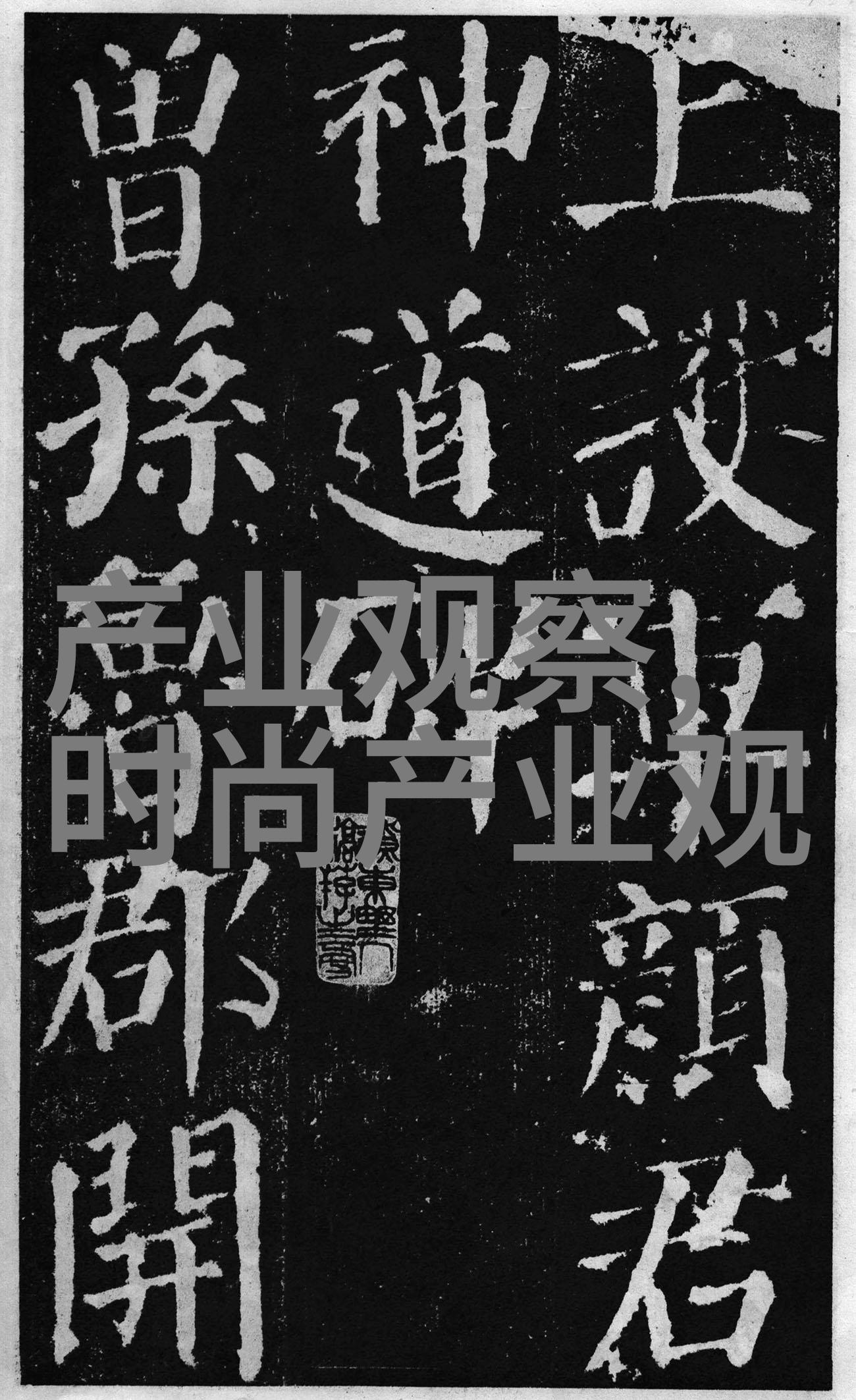 暗黑复仇者完美存档探索最强角色组合的秘密