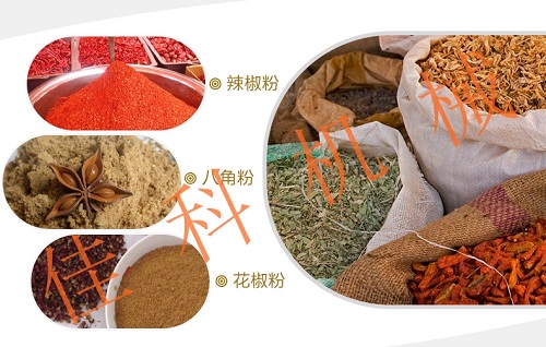 未来启示星际航行的新纪元