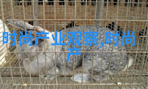探索脸型与发型的完美结合
