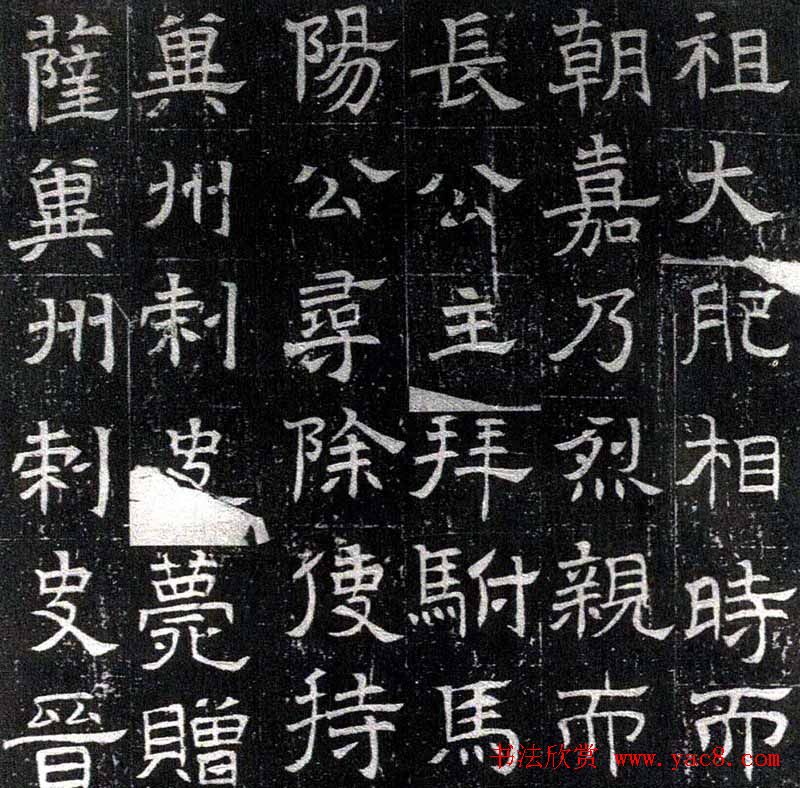 电影生命如花爱如蜜首映活动爱意绽放感动满溢