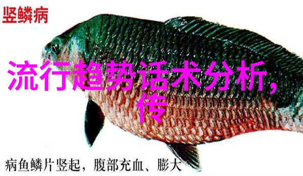 美丽变革探索2023年短发女生的新趋势