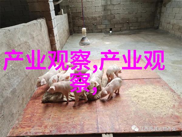 汽车知识 - 4和4s的区别解析宝马3系性能与设计差异