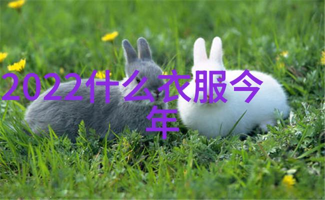 2022最火发型女生长发 - 时尚新潮揭秘2022年最流行的女性发型