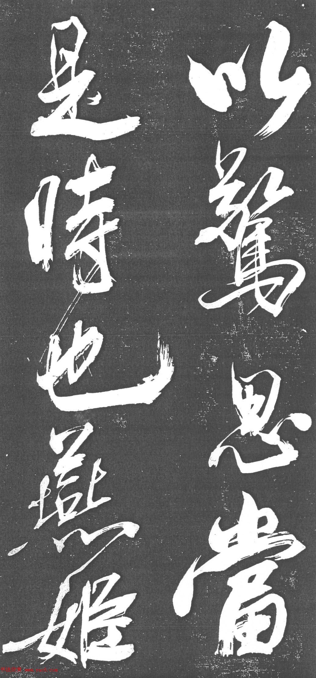 森林探险体验探索自然的美丽