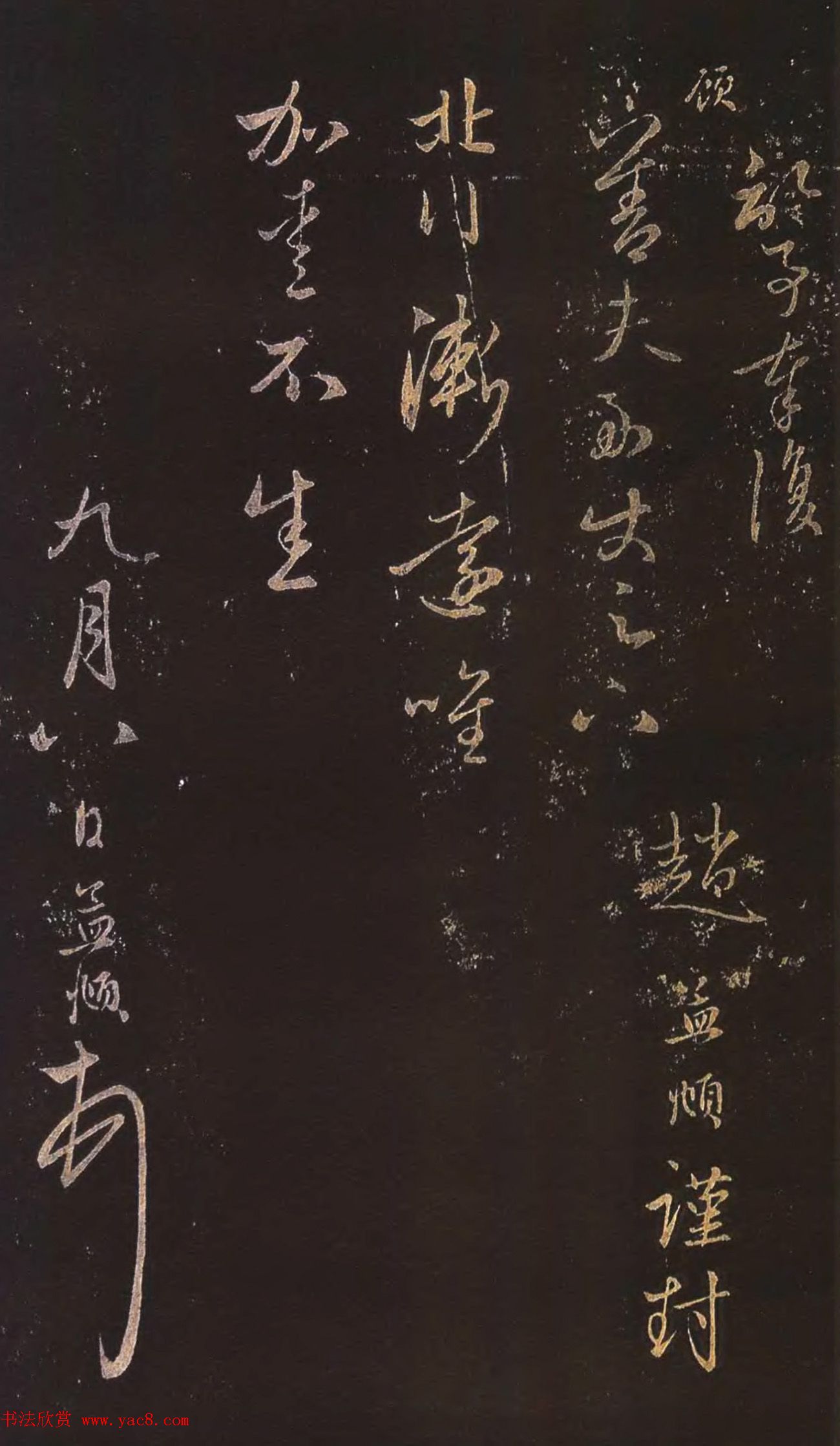 二o二一年流行发型我是如何追上时髦的2021年那些让我们疯狂的发色搭配