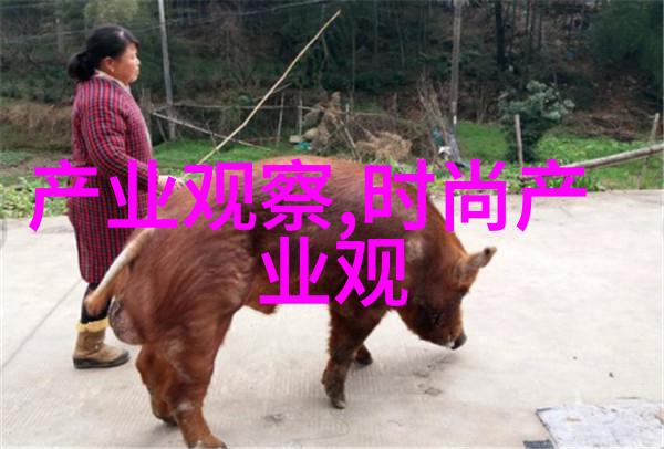 儿子一晚上频繁求抱抱的解决方案如何应对孩子夜间多次请求拥抱的问题处理方法