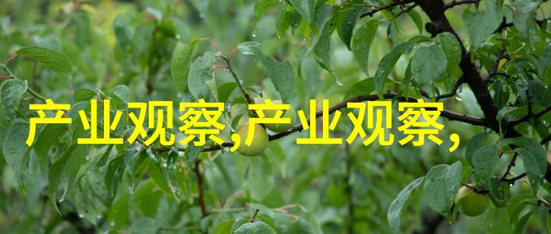 时尚穿搭平台ZARA助力卡塔尔航空夏季新餐饮盛宴满足出行中的中国胃好奇与需求