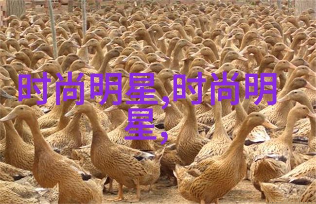 美发艺术的精髓掌握理发课程中的技巧与要点