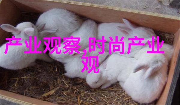 江山为聘的龙椅h87我坐上这把神奇的龙椅竟然听见了它低沉而有力的呼吸声