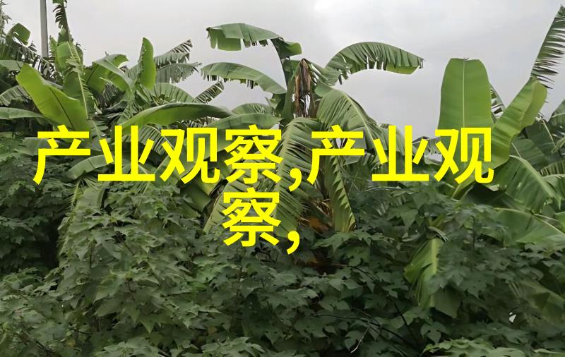 账号管理我是如何在小米官网 account.xiaomi.com 上解决密码忘记问题的