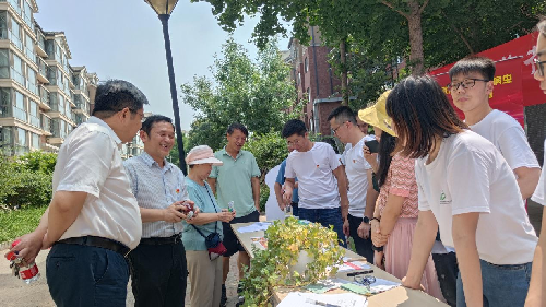 女人服装我是如何找出那件完美裙子