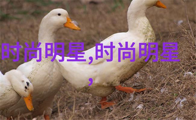 亲戚间的温馨夜晚共度难忘时光的亲人之家