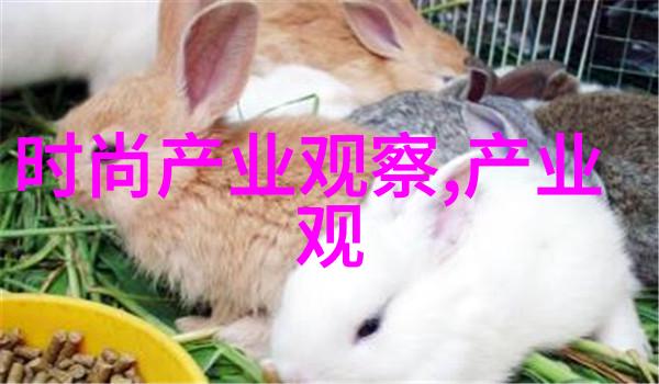 甜美淑女发型编法 - 绽放魅力精致编发技巧与时尚搭配