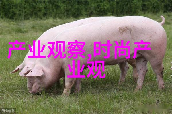 视频中的C账户欠款问题宝贝的债务困境与解决之道