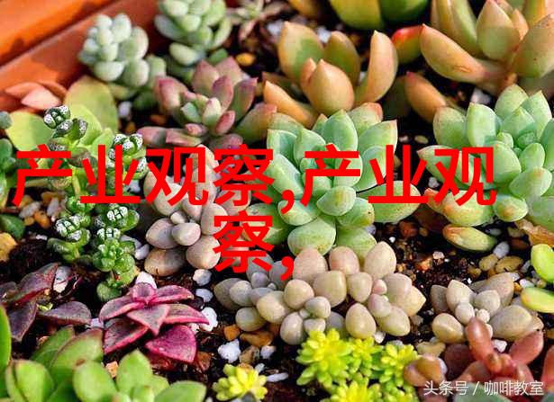 三嫁李郎传奇中的智慧与爱情
