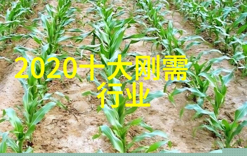 美发技艺的传承与创新课程教学教案的设计与实践