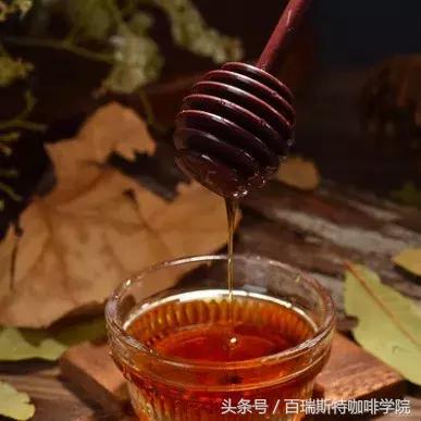 主题-双性(h)生子的湿润旅程从好奇到理解