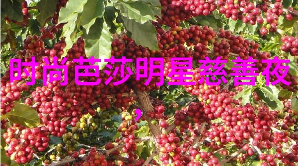 50岁女人减龄短发发型时尚魅力重现