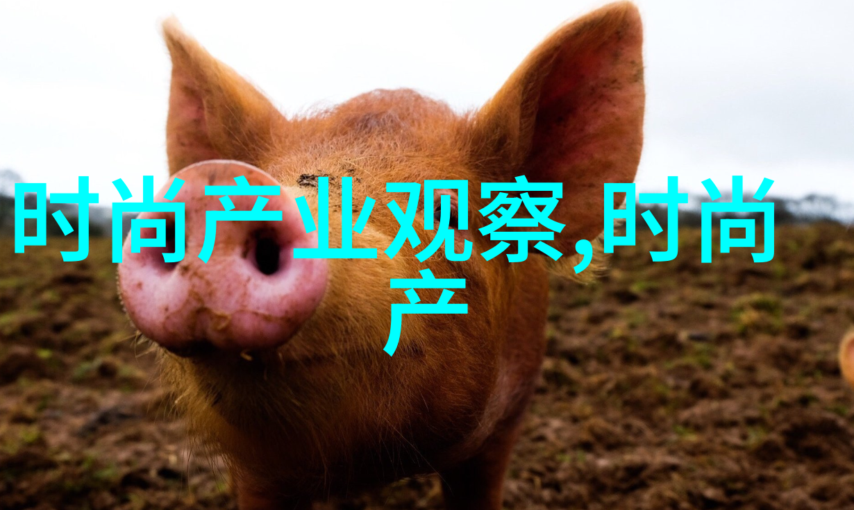日常护理技巧让你拥有更好的洗涤和吹干习惯