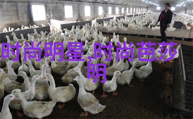 波多野结衣的银幕魅力探索她在电影中的独特魅力