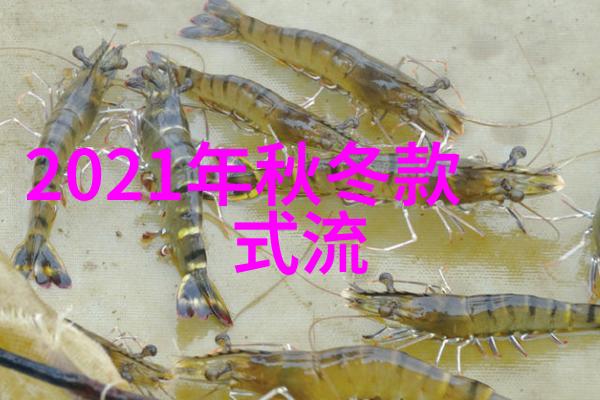 麻豆文化传媒有限公司探索视觉盛宴的数字时代