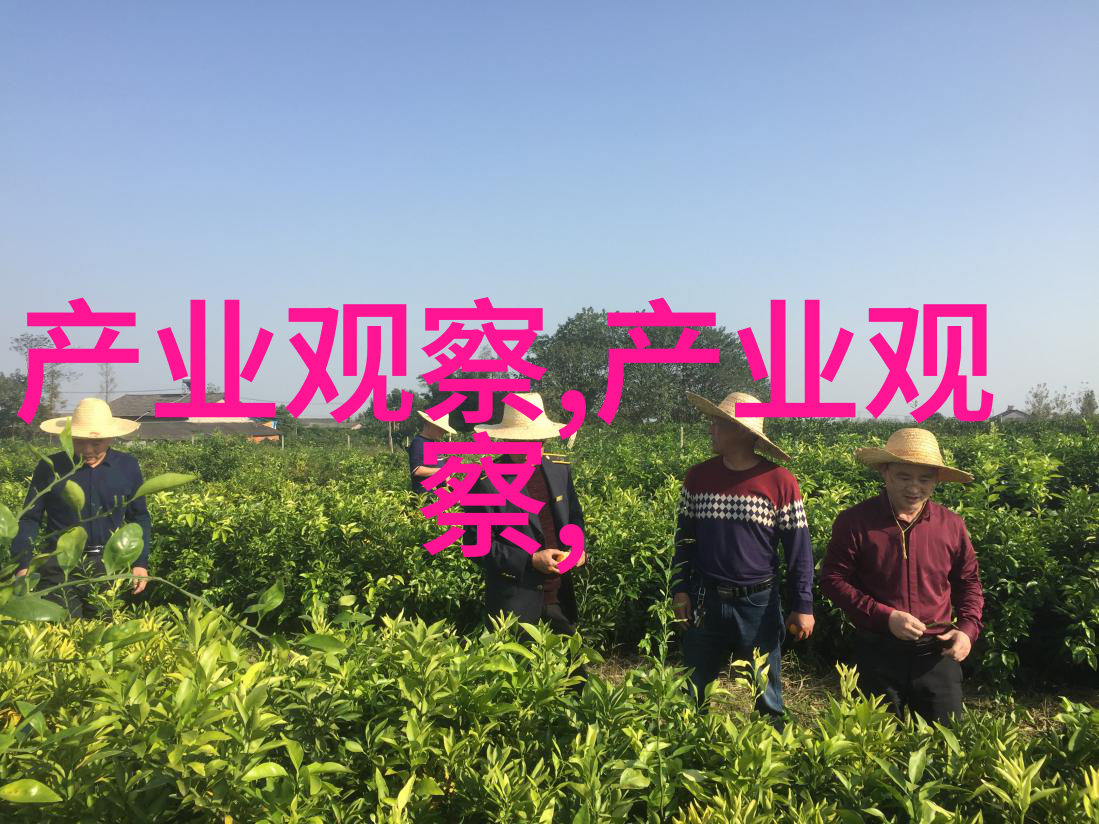 脸型与发型的完美结合短发如何映衬不同脸型的魅力