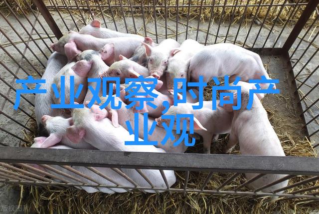 探索动漫世界颜彩斑斓的画面与深情激昂的故事