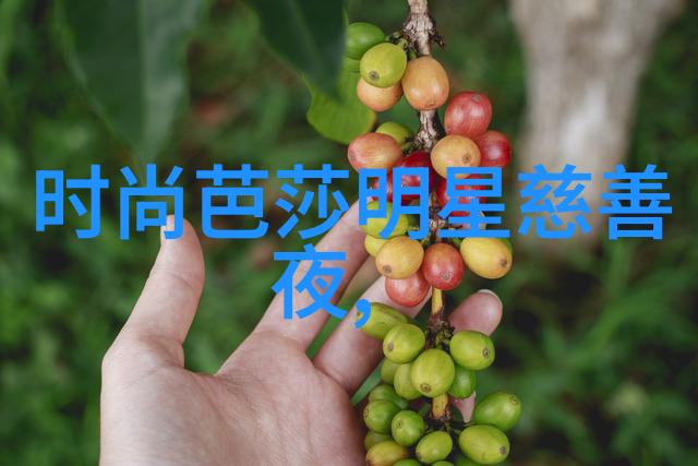 D0r在2021年主打的色彩是什么反复提问这个品牌眼镜的独特之处在于哪些颜色的组合