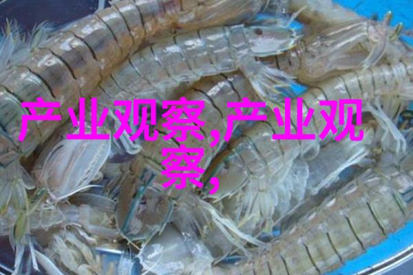 美容新境界编发化妆技艺的艺术探索