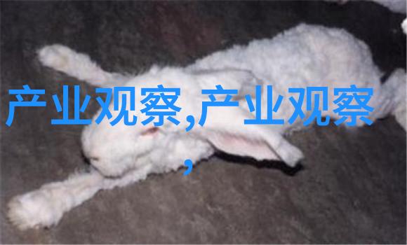 男士理发教学视频我来教你如何给自己剪个帅气的发型