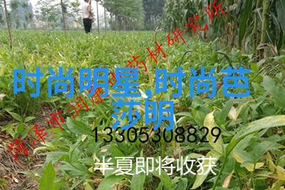 3月1日起微信新规定我是不是要更新我的微信好友管理策略了