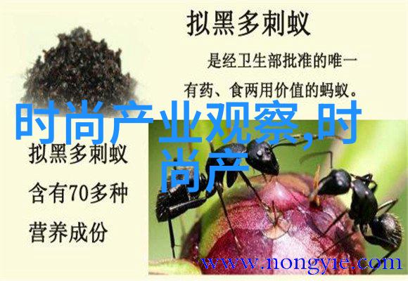 免费做受视频试看一下-探秘免费做受视频试看篇章中的诱惑与挑战