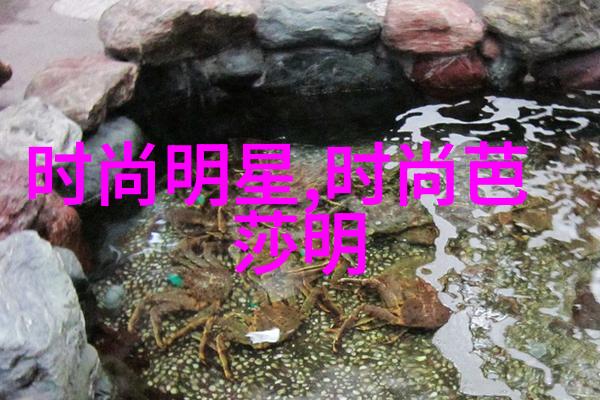 寸头发型时尚指南精选图片大全及搭配秘诀