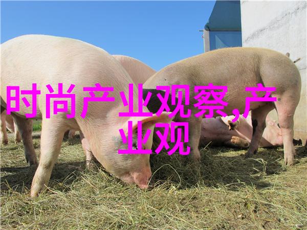 超越数字的魅力探索4700系列技术的未来趋势