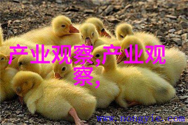 如何挑选合身的短外套尺寸和颜色的选择技巧分享