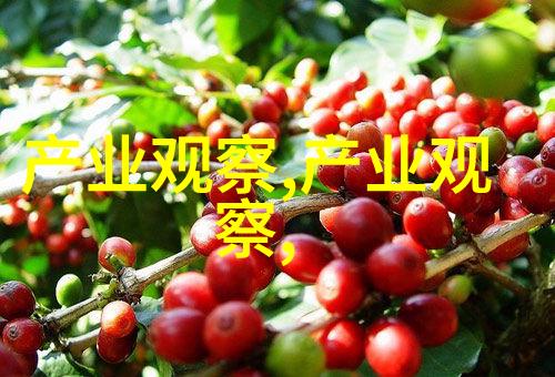 脸型探秘揭秘你的五官之美找到完美发型的你