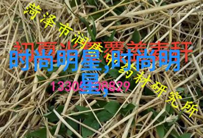 4399造梦西游3挂经典再现与挑战重启