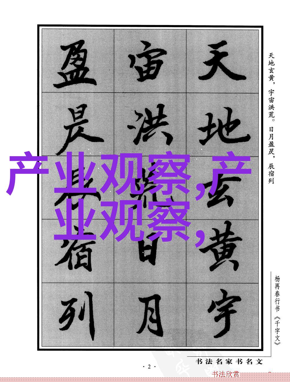 青春激情的舞台19岁女RAPPER的音乐征程