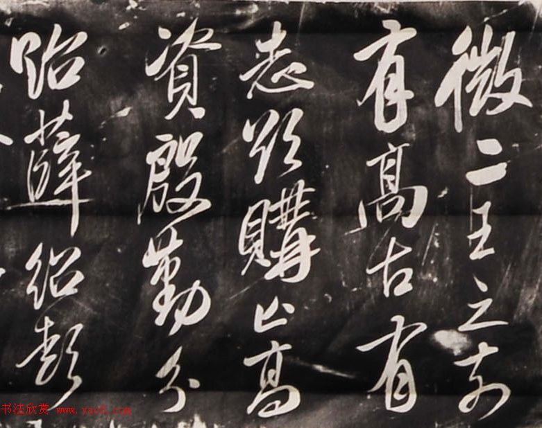 青春盛放少女时尚的头颅绘卷