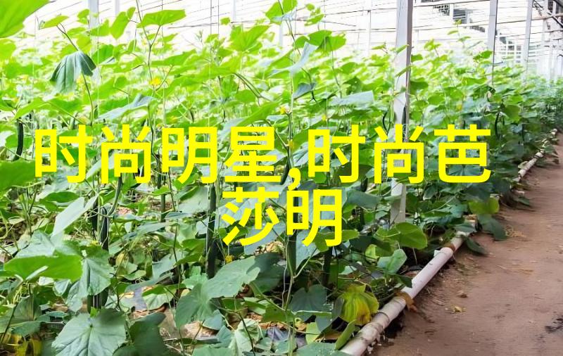 卡塔尔航空夏季新餐品满足中国胃的空中美食盛宴