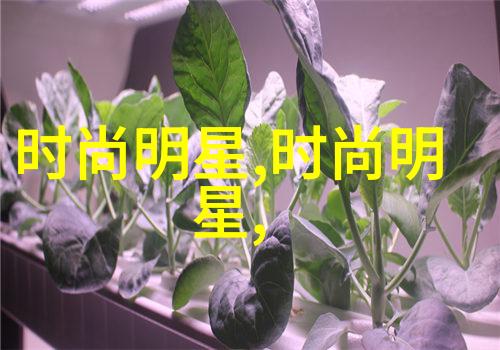 qeelin的Doppel Herz维生素C怎么样好不好