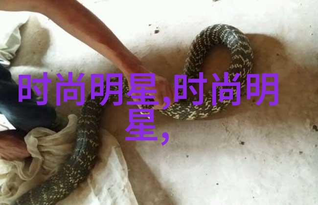 时尚美学-短发发型女简约魅力与个性风采