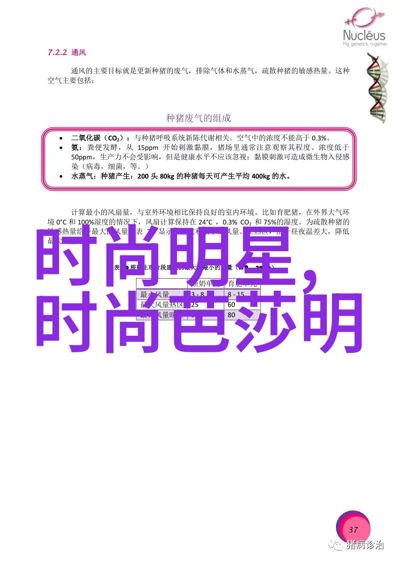 数据精灵数字世界的轻盈行者