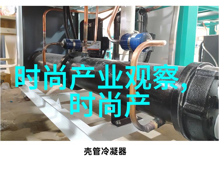 东北吉林小伟CHINESE文化与身份的交融