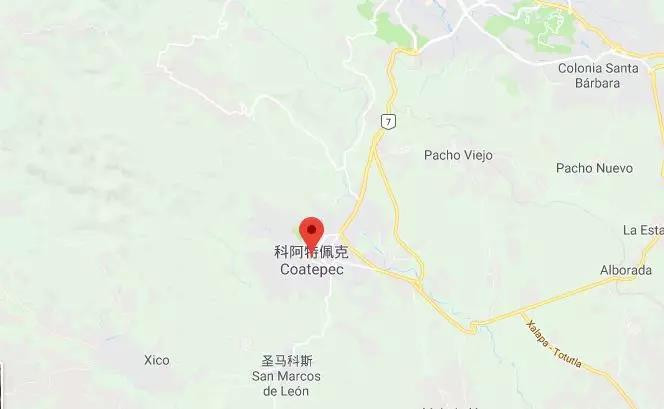 夏日时尚长袖T恤衫轻盈舒适的街头风格