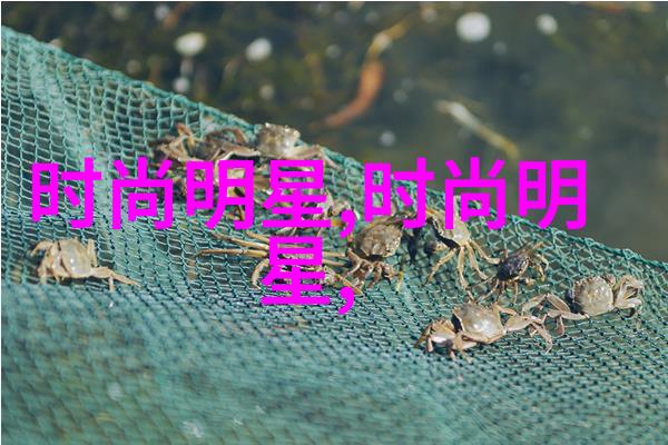 毛茸茸的大隻户岳丰的奇特外表与内心世界